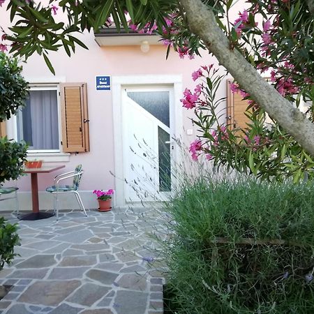 Apartmani Vesna Buje Εξωτερικό φωτογραφία
