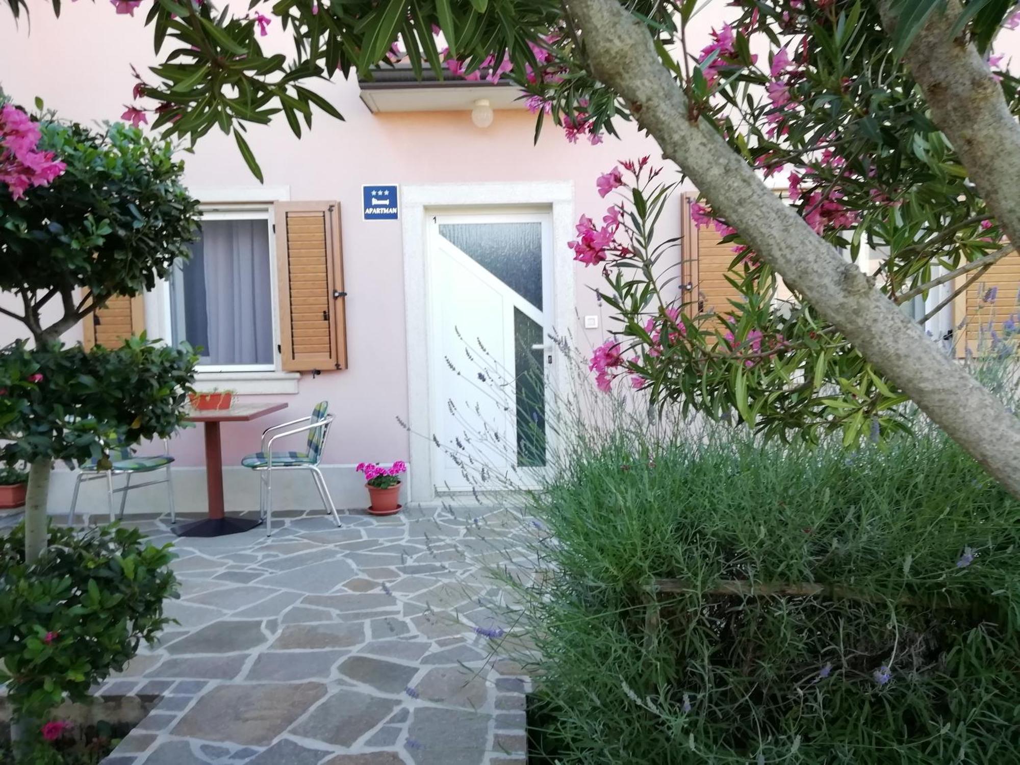 Apartmani Vesna Buje Εξωτερικό φωτογραφία